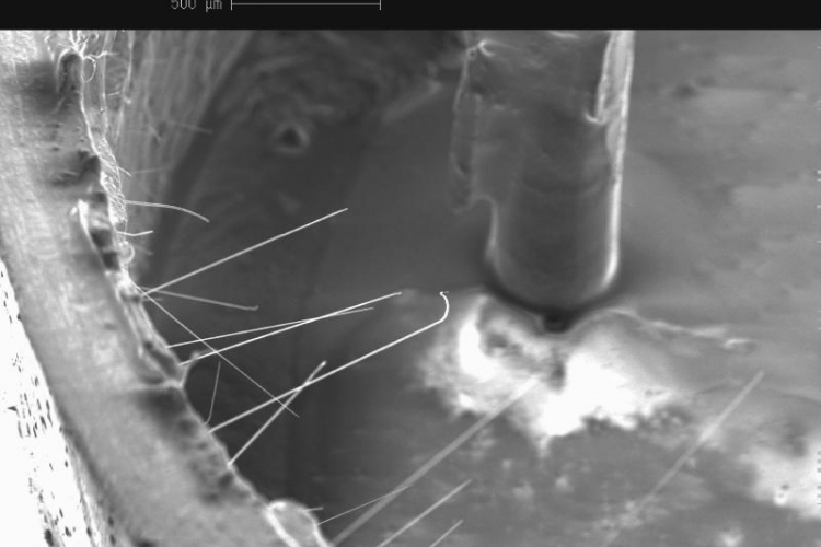 Tin Whiskers Predicting the Risk The Aerospace Corporation